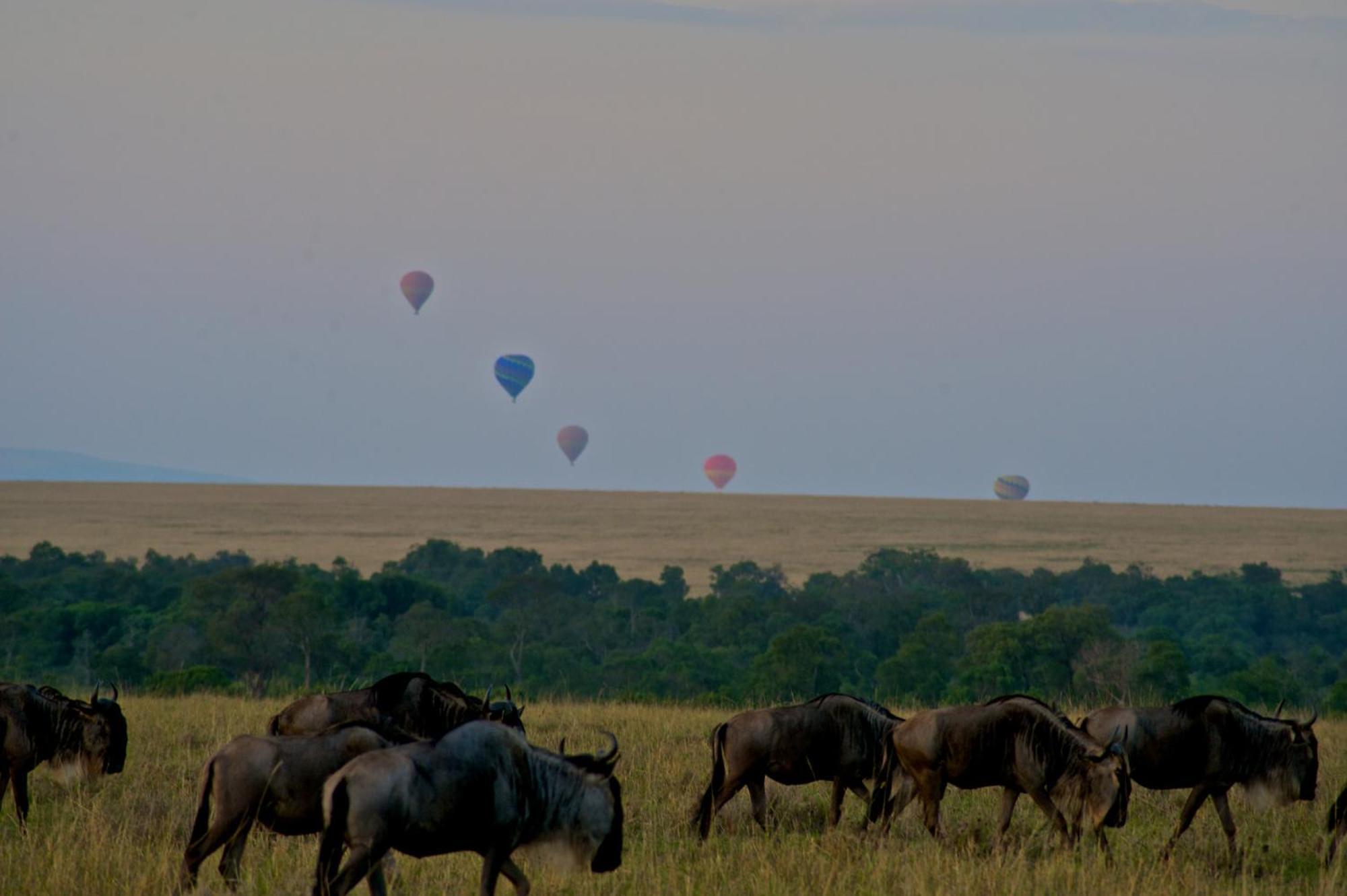 Mara Elatia Camp Villa Maasai Mara Kültér fotó