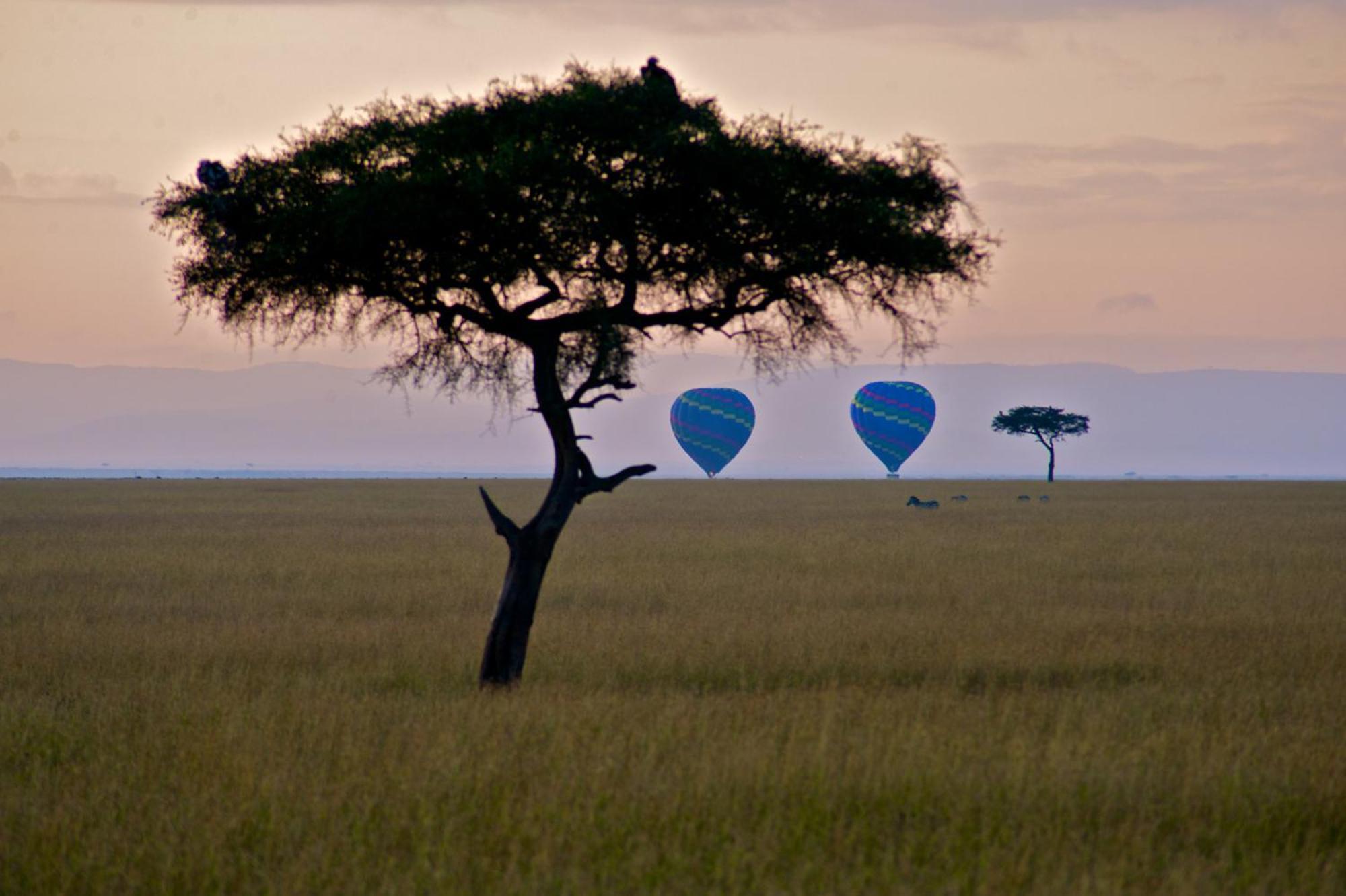 Mara Elatia Camp Villa Maasai Mara Kültér fotó